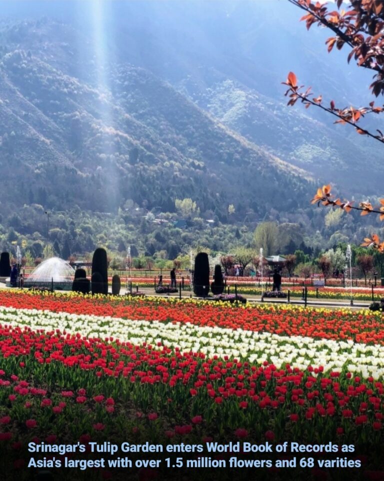 J&K’s tulip garden now Asia’s largest: Enter world record with over 1.5 million flowers and 68 varities